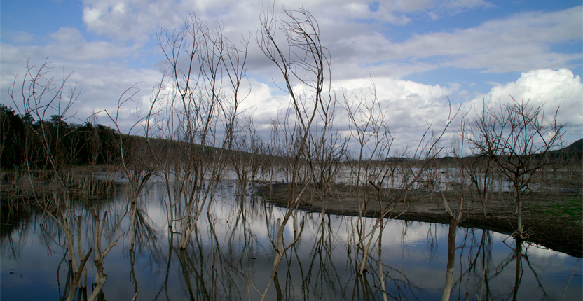 PHOTO | ROOTS DESIGN