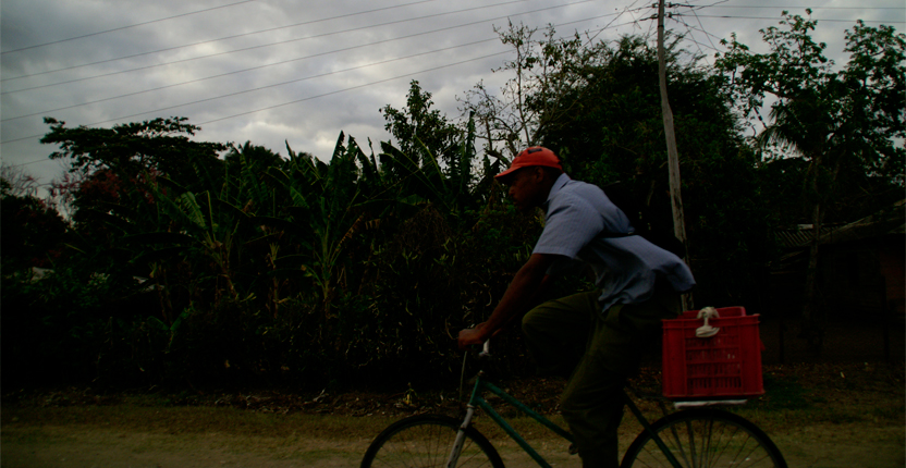 PHOTO | ROOTS DESIGN