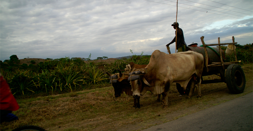 PHOTO | ROOTS DESIGN