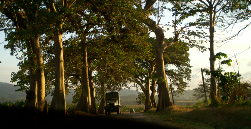 PHOTO | ROOTS DESIGN