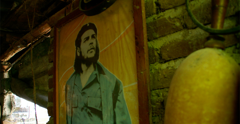 PHOTO | ROOTS DESIGN