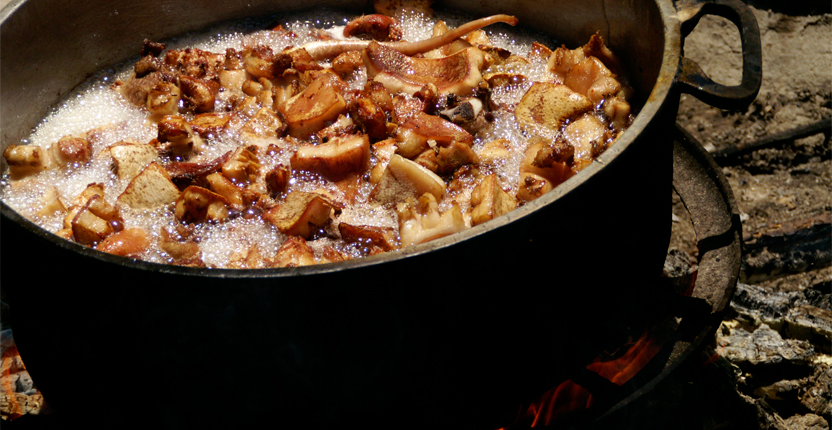 PHOTO | ROOTS DESIGN