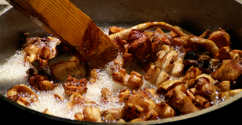 PHOTO | ROOTS DESIGN