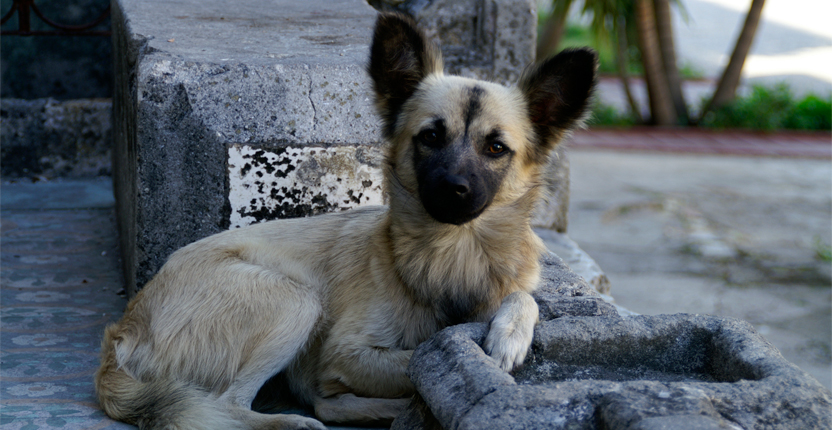 PHOTO | ROOTS DESIGN