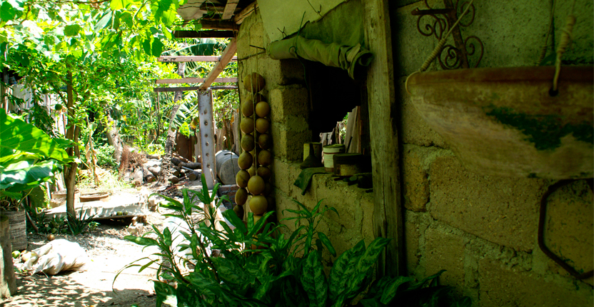 PHOTO | ROOTS DESIGN