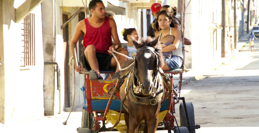 PHOTO | ROOTS DESIGN