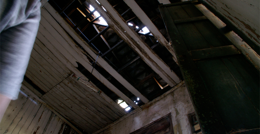 PHOTO | ROOTS DESIGN