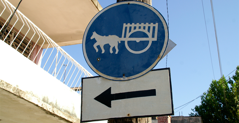 PHOTO | ROOTS DESIGN