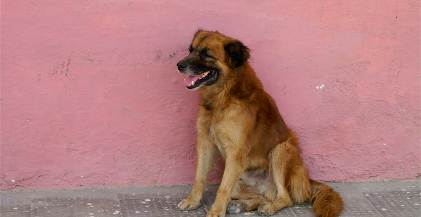 PHOTO | ROOTS DESIGN