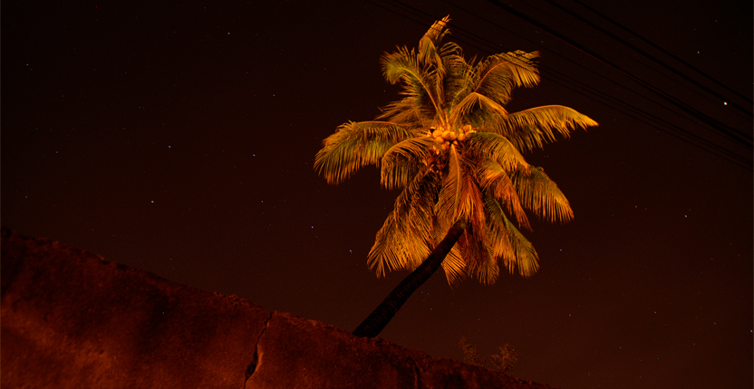 PHOTO | ROOTS DESIGN