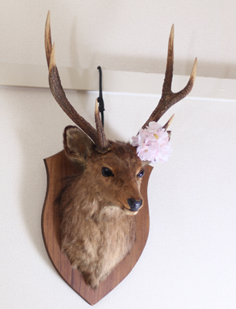 Deer | Roots Design
